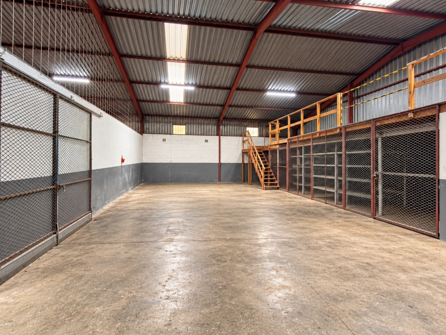 To Let Commercial Property for Rent in Meisies Halt Eastern Cape